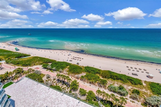 bird's eye view of unending shoreline