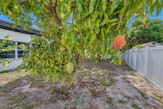 7908 Coral Blvd, Miramar, FL 33023 - view of yard