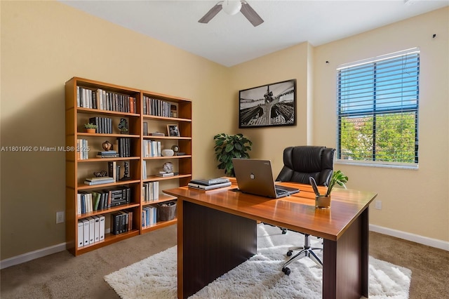 6973 Broadland Way, Coconut Creek, FL 33073 - office space featuring carpet floors, baseboards, and a ceiling fan