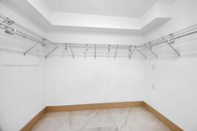 5410 SW 2nd St, Miami, FL 33134 - view of spacious closet