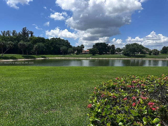 3310 N Pinewalk Dr N Unit 1814, Margate, FL 33063 - water view