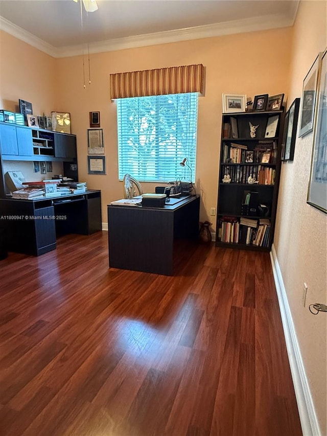 8943 NW 174th St, Hialeah, FL 33018 - home office with wood finished floors, crown molding, ceiling fan, and baseboards