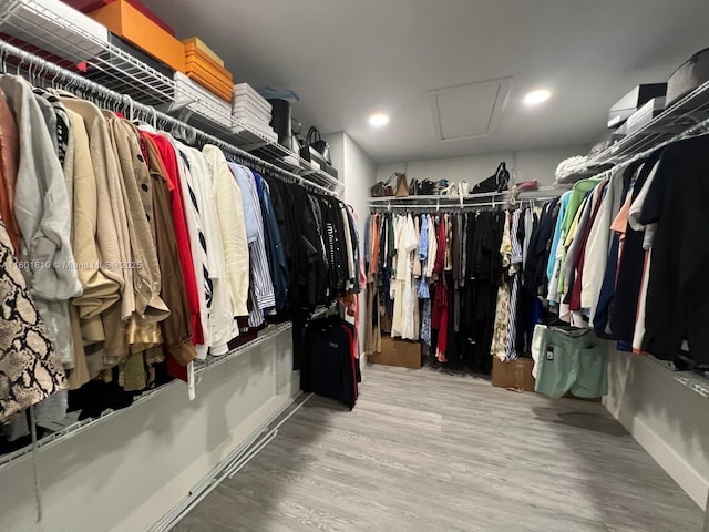 19110 NW 88th Ct, Hialeah, FL 33018 - walk in closet with attic access and wood finished floors