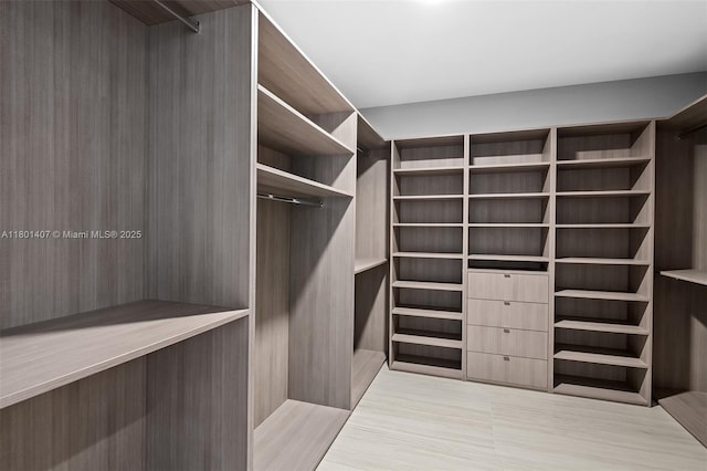 851 NE 1st Ave Ph 5401, Miami, FL 33132 - view of spacious closet