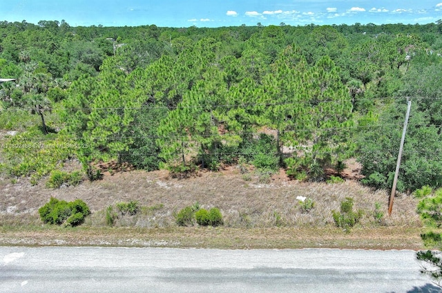 805 Lincoln Ave, Lehigh Acres, FL 33972
