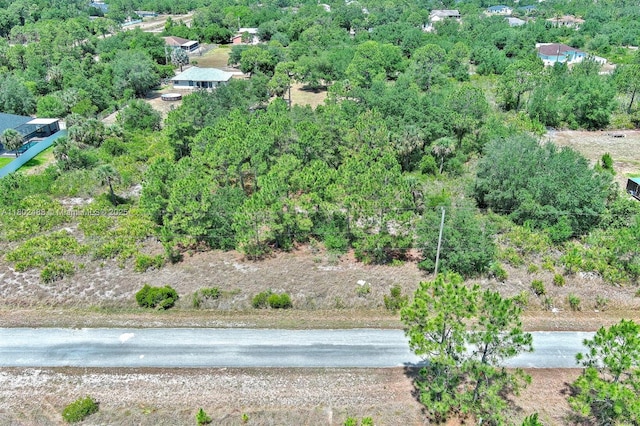 805 Lincoln Ave, Lehigh Acres, FL 33972