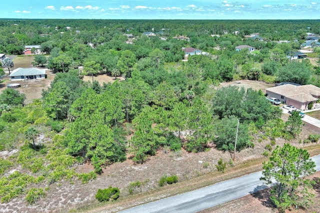 805 Lincoln Ave, Lehigh Acres, FL 33972