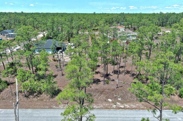 1303 Broadway Ave, Lehigh Acres, FL 33972 - photo 1