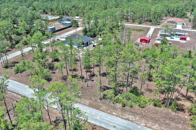 1303 Broadway Ave, Lehigh Acres, FL 33972 - photo 3