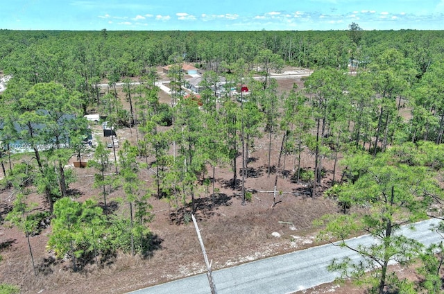 1303 Broadway Ave, Lehigh Acres, FL 33972 - photo 4