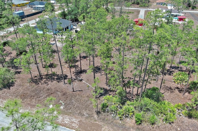 1303 Broadway Ave, Lehigh Acres, FL 33972 - photo 5