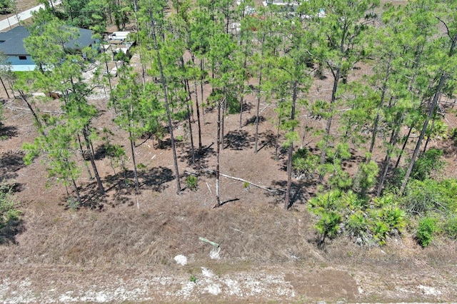 1303 Broadway Ave, Lehigh Acres, FL 33972 - photo 6