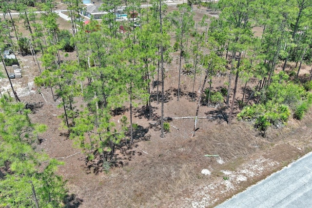 1303 Broadway Ave, Lehigh Acres, FL 33972 - photo 7