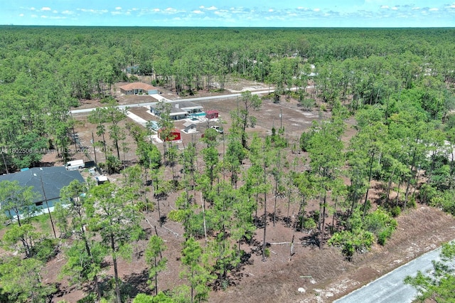 1303 Broadway Ave, Lehigh Acres, FL 33972 - photo 8