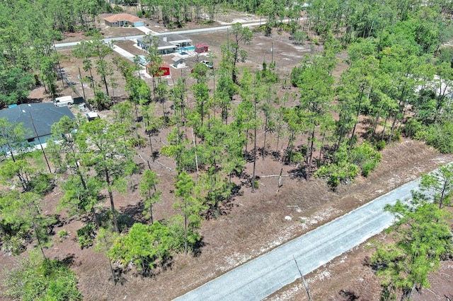 1303 Broadway Ave, Lehigh Acres, FL 33972 - photo 9