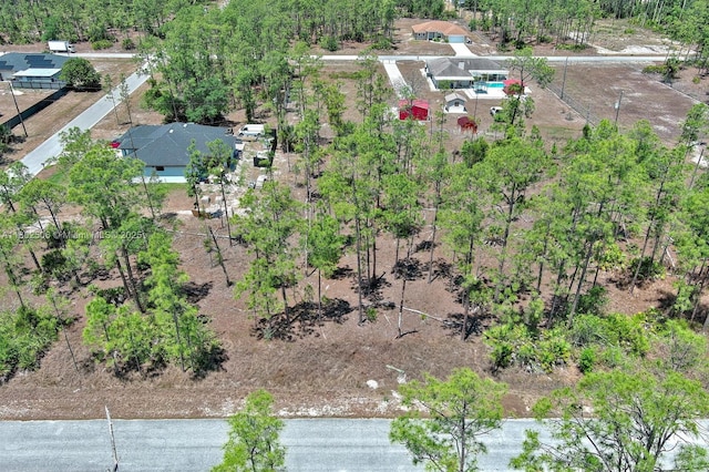 1303 Broadway Ave, Lehigh Acres, FL 33972 - photo 10