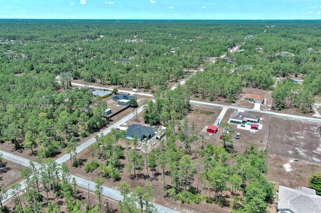 1303 Broadway Ave, Lehigh Acres, FL 33972 - photo 13