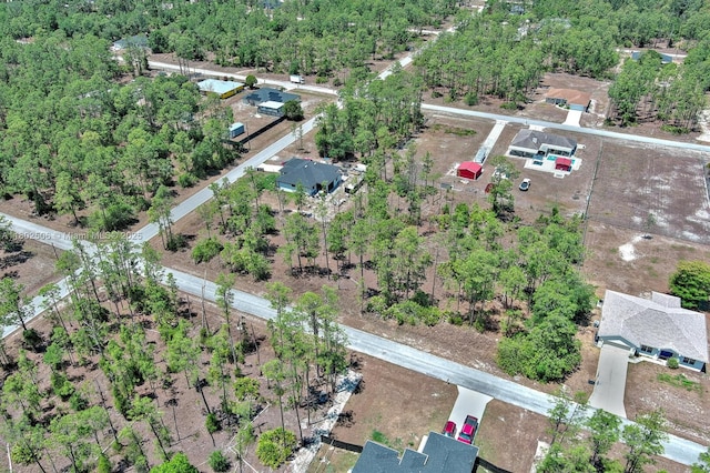 1303 Broadway Ave, Lehigh Acres, FL 33972 - photo 14