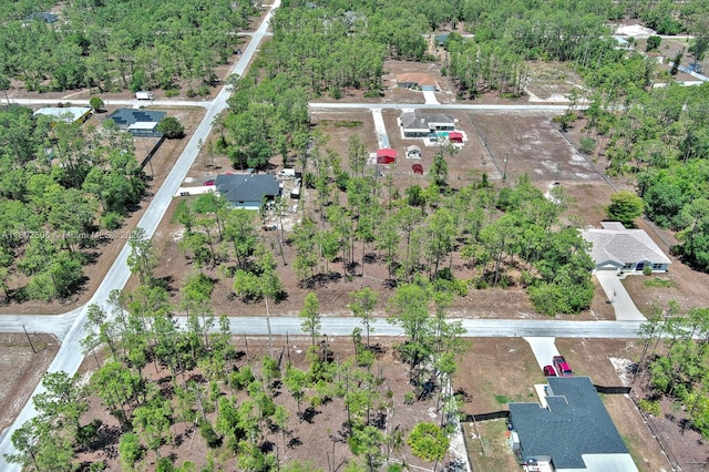 1303 Broadway Ave, Lehigh Acres, FL 33972 - photo 15