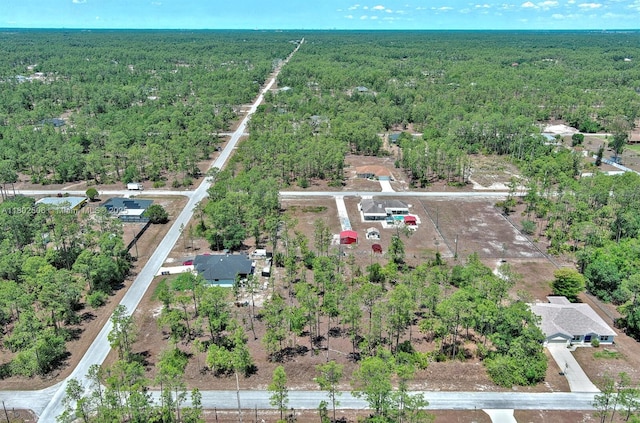 1303 Broadway Ave, Lehigh Acres, FL 33972 - photo 16