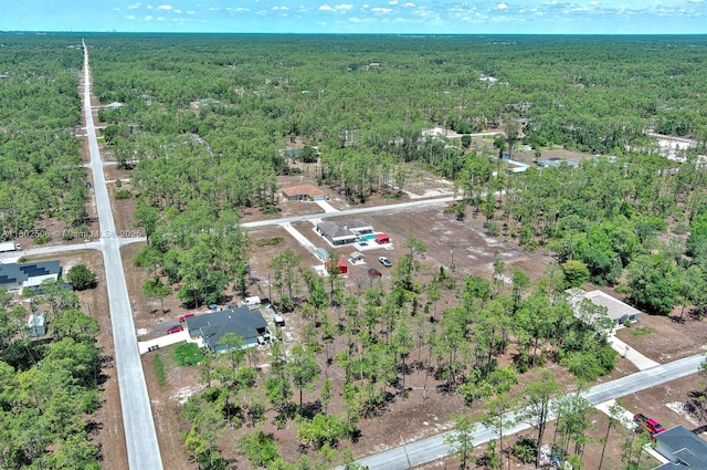 1303 Broadway Ave, Lehigh Acres, FL 33972 - photo 17