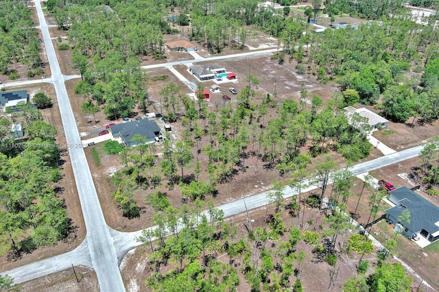 1303 Broadway Ave, Lehigh Acres, FL 33972 - photo 18