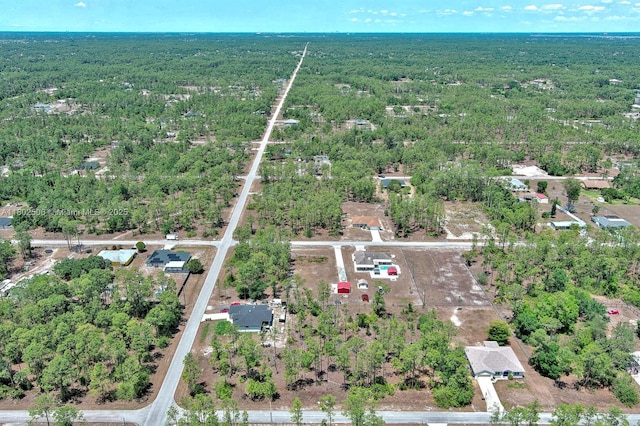 1303 Broadway Ave, Lehigh Acres, FL 33972 - photo 19