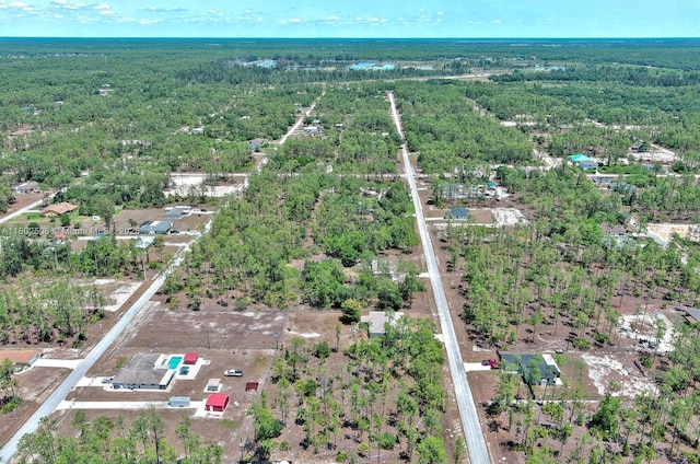1303 Broadway Ave, Lehigh Acres, FL 33972 - photo 20