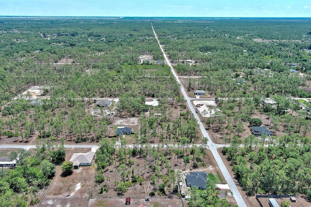 1303 Broadway Ave, Lehigh Acres, FL 33972 - photo 21