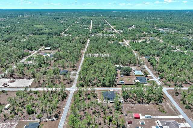 1303 Broadway Ave, Lehigh Acres, FL 33972 - photo 22