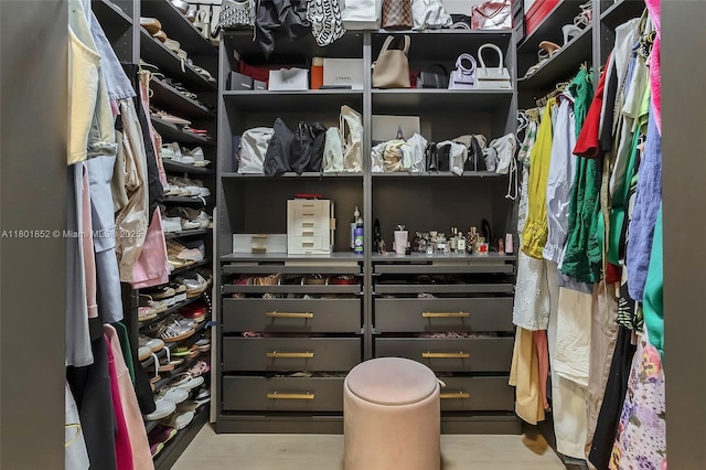 5530 SW 195th Ter, Southwest Ranches, FL 33332 - view of spacious closet
