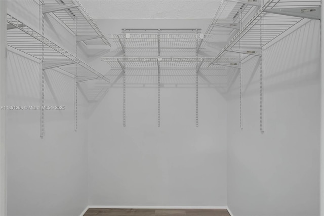 8275 SW 152nd Ave Unit D110, Miami, FL 33193 - spacious closet featuring wood finished floors