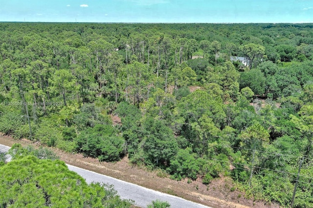 1908 Mcarthur Ave, Lehigh Acres, FL 33972 - photo 3