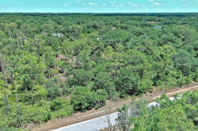 1908 Mcarthur Ave, Lehigh Acres, FL 33972 - photo 4