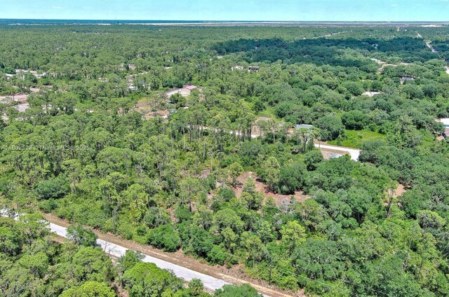 1908 Mcarthur Ave, Lehigh Acres, FL 33972 - photo 9
