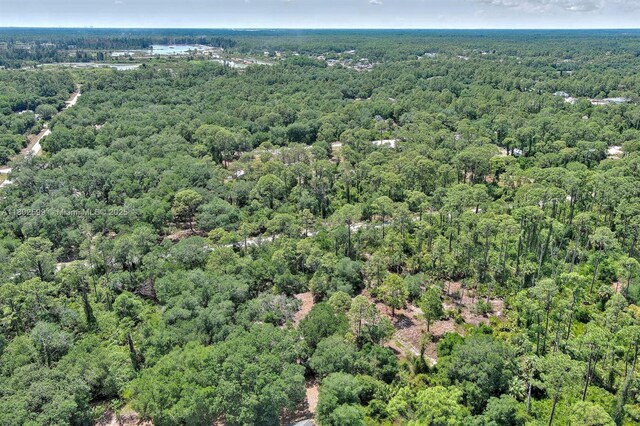 1908 Mcarthur Ave, Lehigh Acres, FL 33972 - photo 15