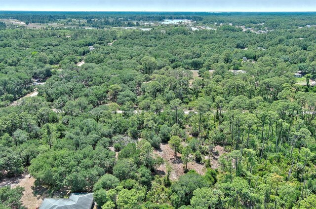1908 Mcarthur Ave, Lehigh Acres, FL 33972 - photo 18