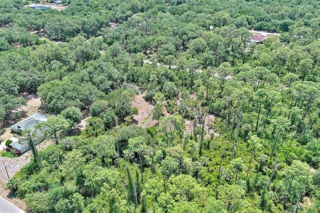 1908 Mcarthur Ave, Lehigh Acres, FL 33972 - photo 20