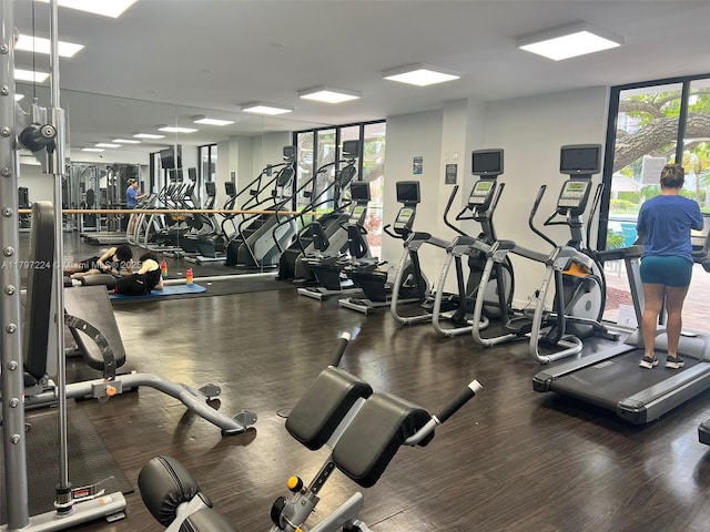 3300 NE 192nd St Unit 803, Aventura, FL 33180 - gym featuring wood finished floors and expansive windows