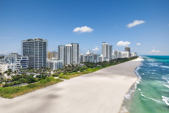 view of community featuring view of water and beach and a view of city