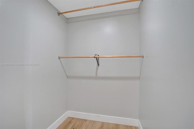 242 SW 9th St, Dania Beach, FL 33004 - walk in closet with light wood-style flooring