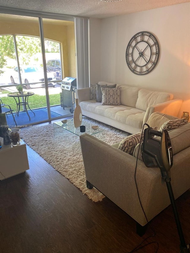 1610 NW 128th Dr Unit 104, Sunrise, FL 33323 - living area with a textured ceiling, expansive windows, and wood finished floors