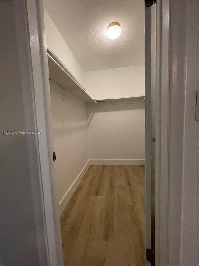 spacious closet featuring light wood-type flooring