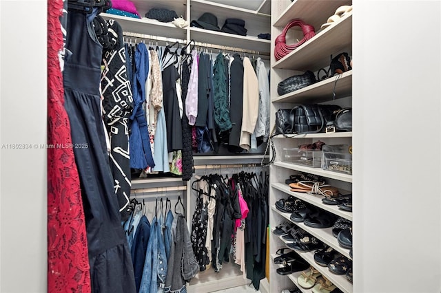 488 NE 18th St Unit 704, Miami, FL 33132 - view of spacious closet