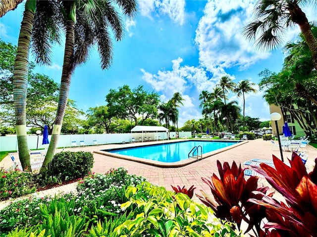3051 S Palm Aire Dr Unit 203, Pompano Beach, FL 33069 - community pool with a patio
