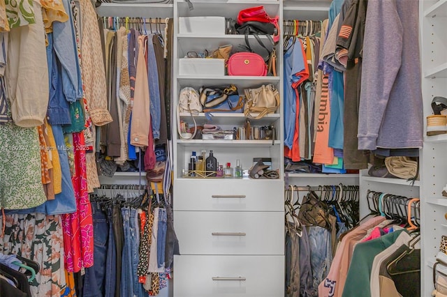 25280 SW 108th Ct, Homestead, FL 33032 - view of spacious closet