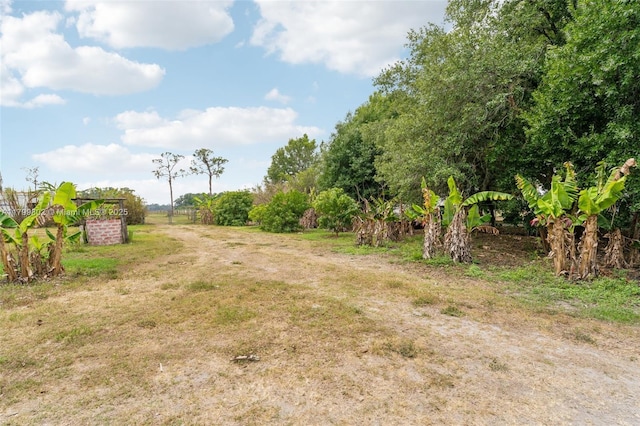 260 Taft Blvd, Clewiston, FL 33440 - view of yard
