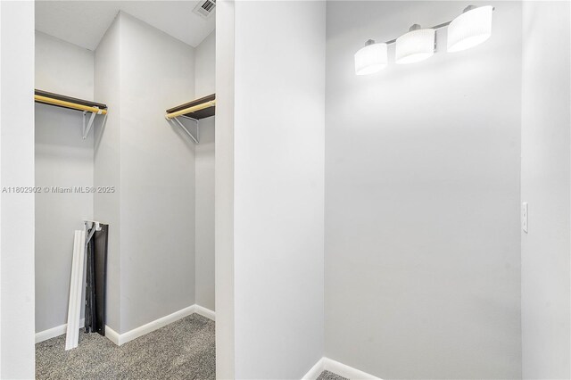 spacious closet featuring carpet floors