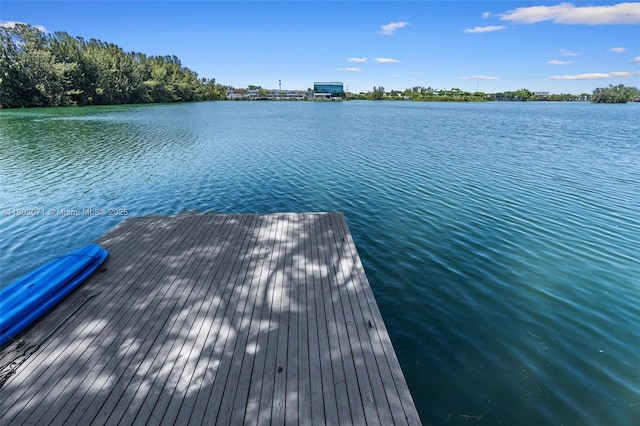 dock with a water view