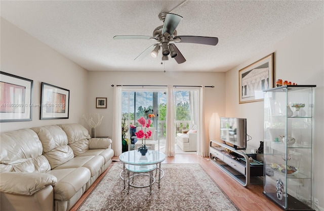 4330 Hillcrest Dr Unit 505, Hollywood, FL 33021 - living area with wood finished floors, ceiling fan, and a textured ceiling